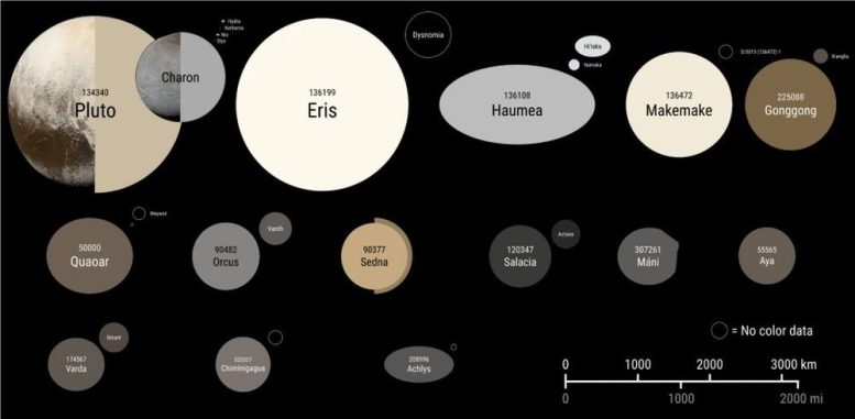 Comparison of Planetary Mass Objects