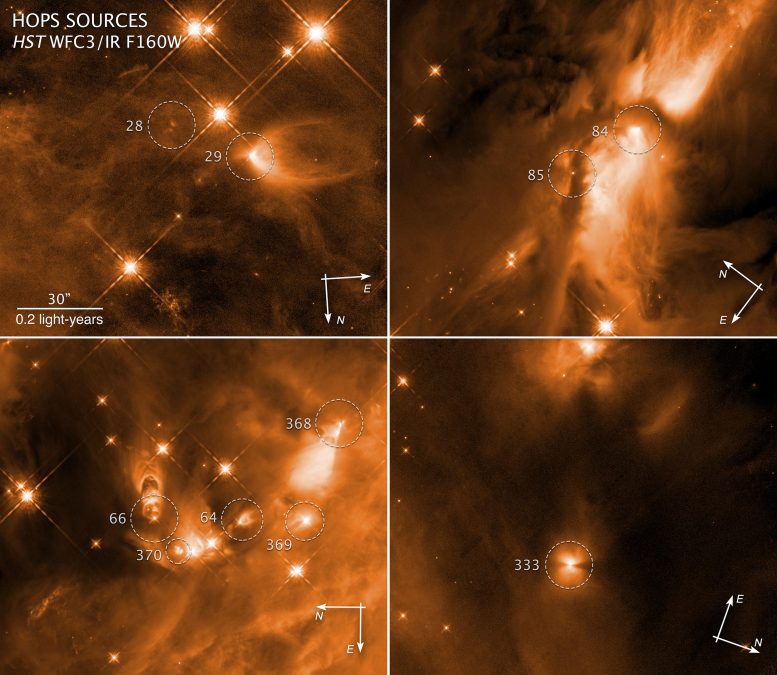 Compass Image Infant Stars in Orion