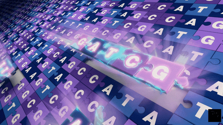 Complete Human Genome Sequence