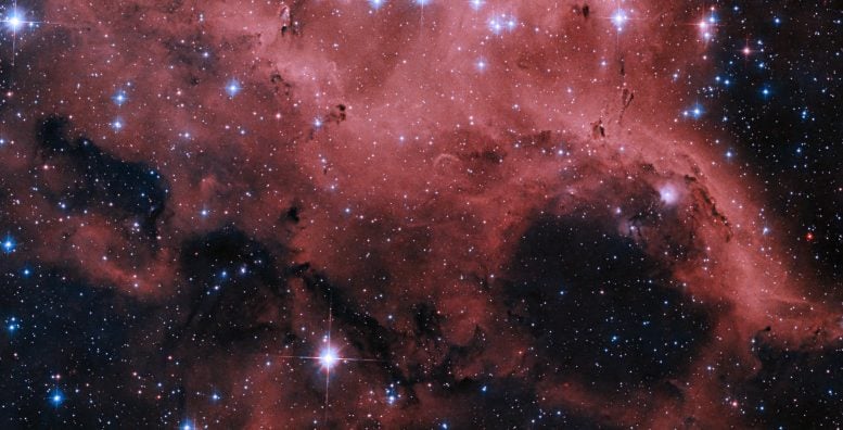 Complex Cluster of Emission Nebulae Within the Large Magellanic Cloud