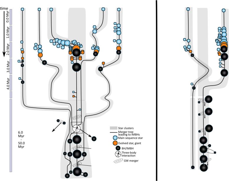 Complex Supermassive Black Hole Formation Channel