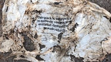 Compostable Plastic in Compost