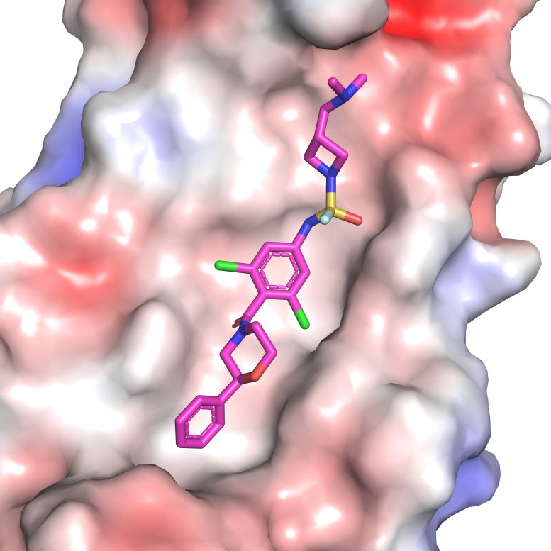 Compound 7 a Molecular Inhibitor of the Influenza Virus
