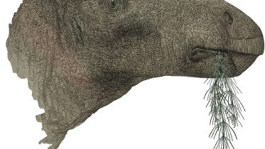 Amazing Discovery: Fossil Collector Unearths the Most Complete Dinosaur in the UK Since 1923