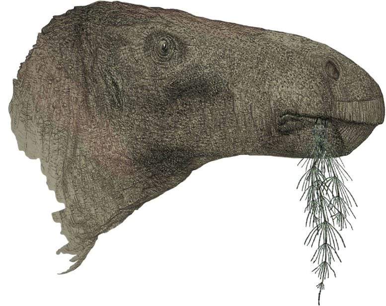 Ο συλλέκτης απολιθωμάτων ανακαλύπτει τον πιο ολοκληρωμένο δεινόσαυρο στο Ηνωμένο Βασίλειο από το 1923