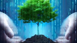 Computer Science Plant Tree