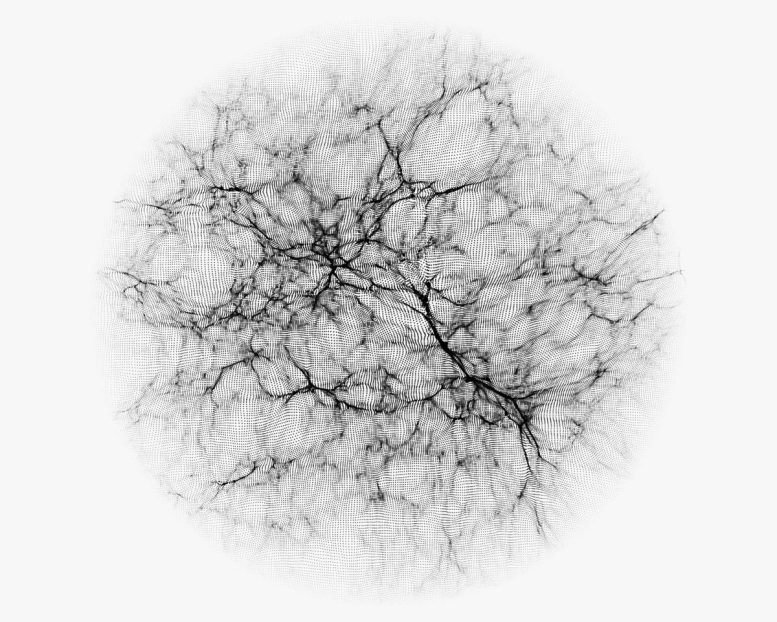 Computer Simulation Distribution of Dark Matter