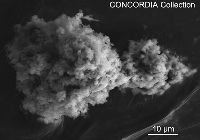 Concordia Micrometeorite Extracted From Antarctic Snow at Dome C