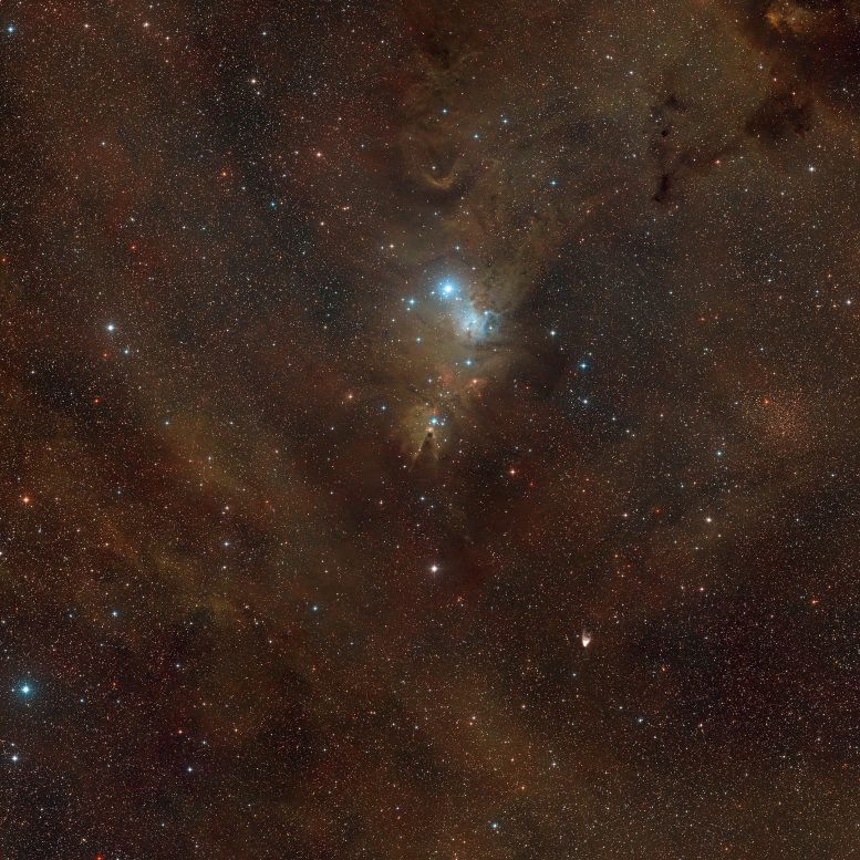 Cone Nebula Wide-Field View