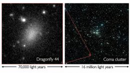 Confirmation of the Existence of Large Diffuse Galaxies in the Coma Cluster