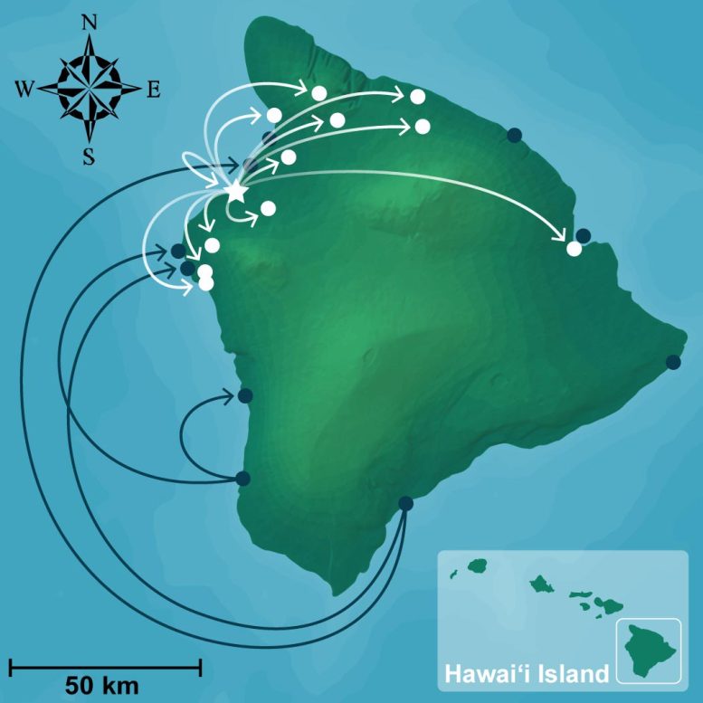 Connectivity of Fisheries off Hawai’i Island