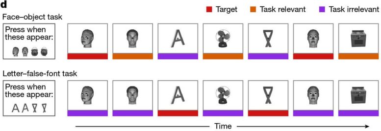 Consciousness Experiment Targets