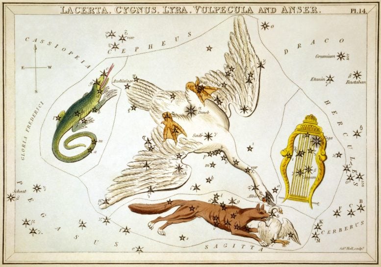 Constellation Lyra Historical Illustration