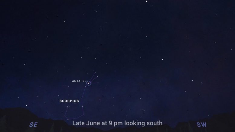 Constellation Scorpius June 2021