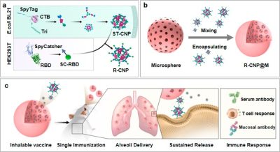 Puff of Protection: China’s Major Leap in Inhalable Vaccine Technology