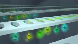 Controlling and Measuring Quantum Spins