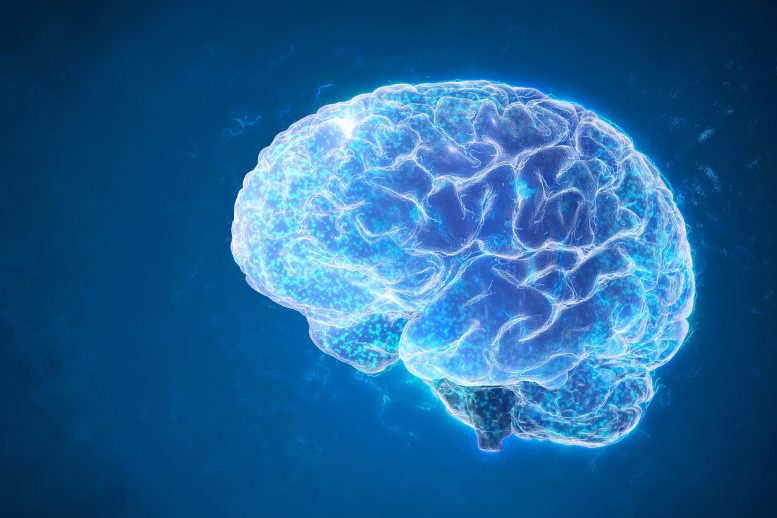 Cool Brain Boost Rejuenation