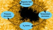 Cool Gas May Form and Strengthen Sunspots
