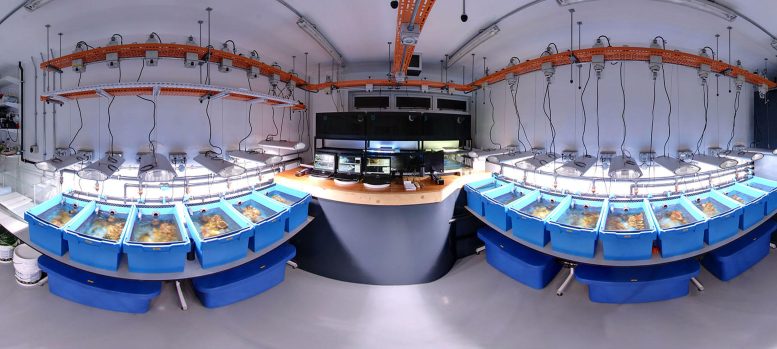 Coral Reef Laboratory at the University of Southampton