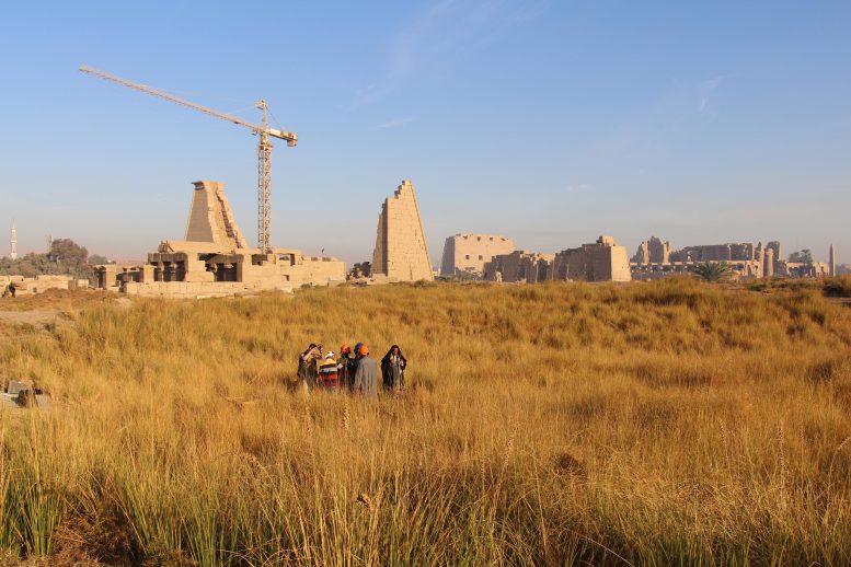 Coring in the Garden of Amun, Karnak