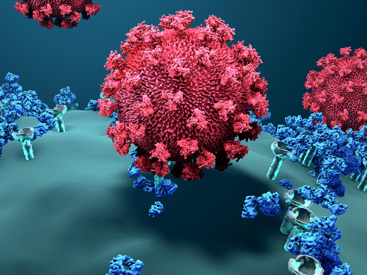 Virus Mimicking Antibodies May Explain Long Haul COVID-19, Rare Vaccine Side Effects - SciTechDaily