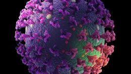 Coronavirus Nanoparticle Vaccine