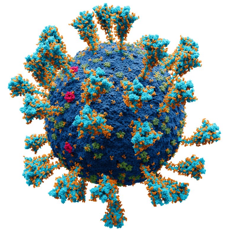 Coronavirus SARS-CoV-2 Aomic Model