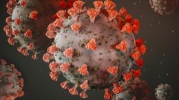 Coronavirus SARS-CoV-2 Virus Illustration