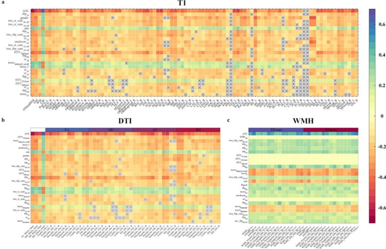 Correlation Patterns Between Health Risk Factors and Brain Imaging Features Across T1, DTI, and WMH Modalities