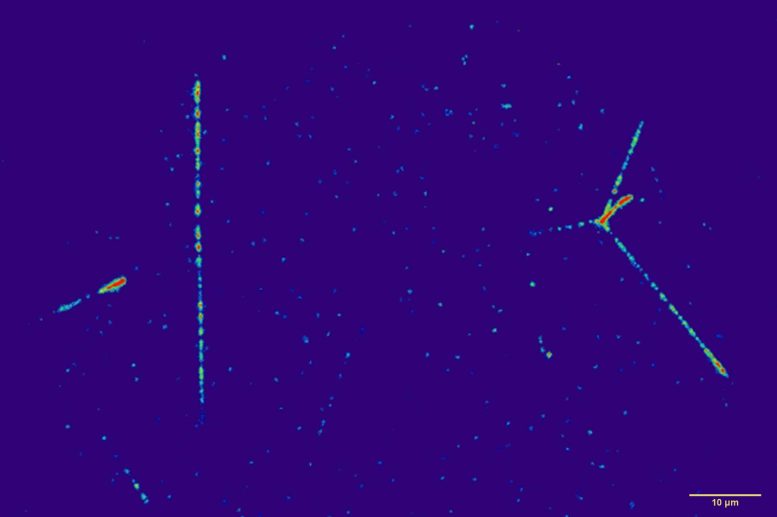 Cosmic Radiation Tracks in Lithium Fluoride