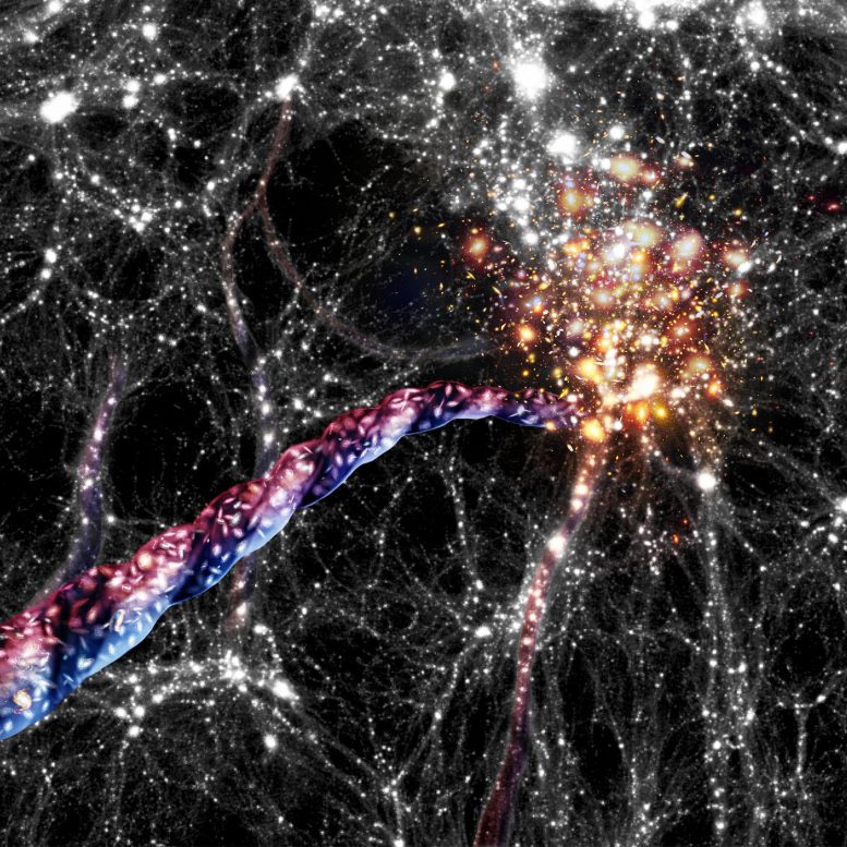 Cosmic Spin Filaments