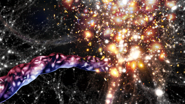 filaments universe galaxies clusters
