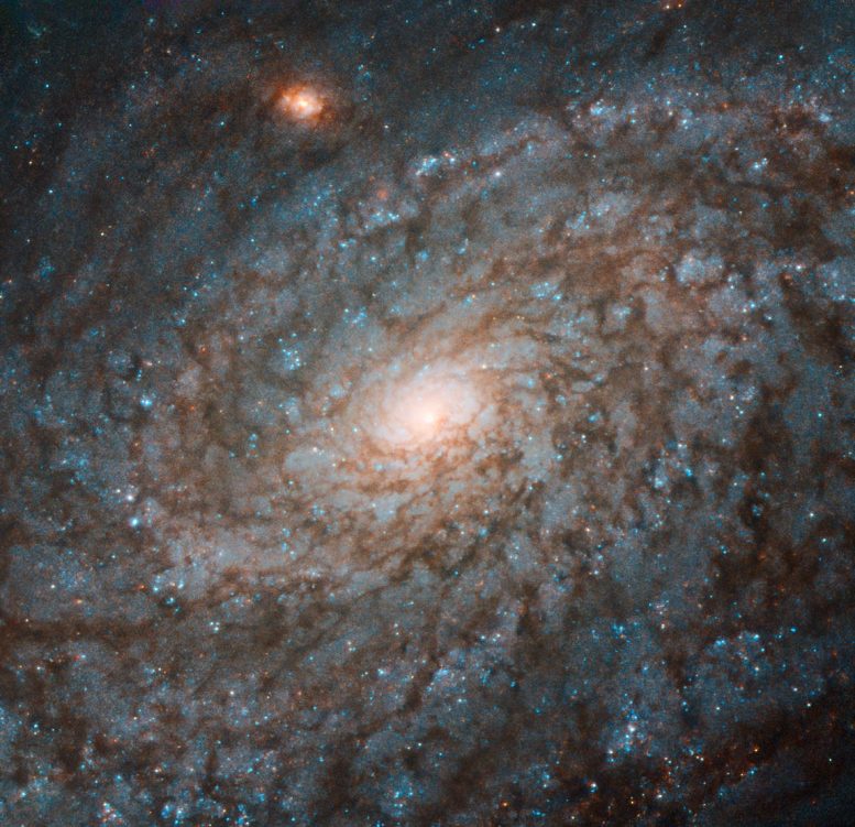 Cotton Wool Galaxy NGC 4237