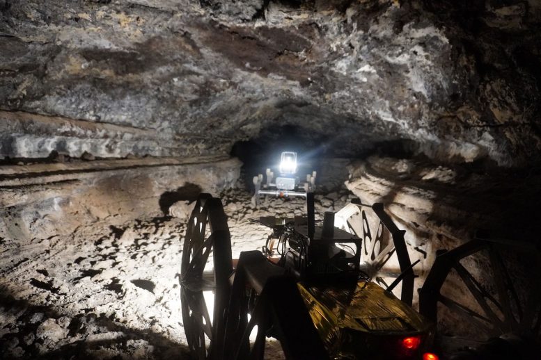 Coyote III in Cave