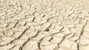Cracked Desert Soil