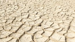 Cracked Desert Soil
