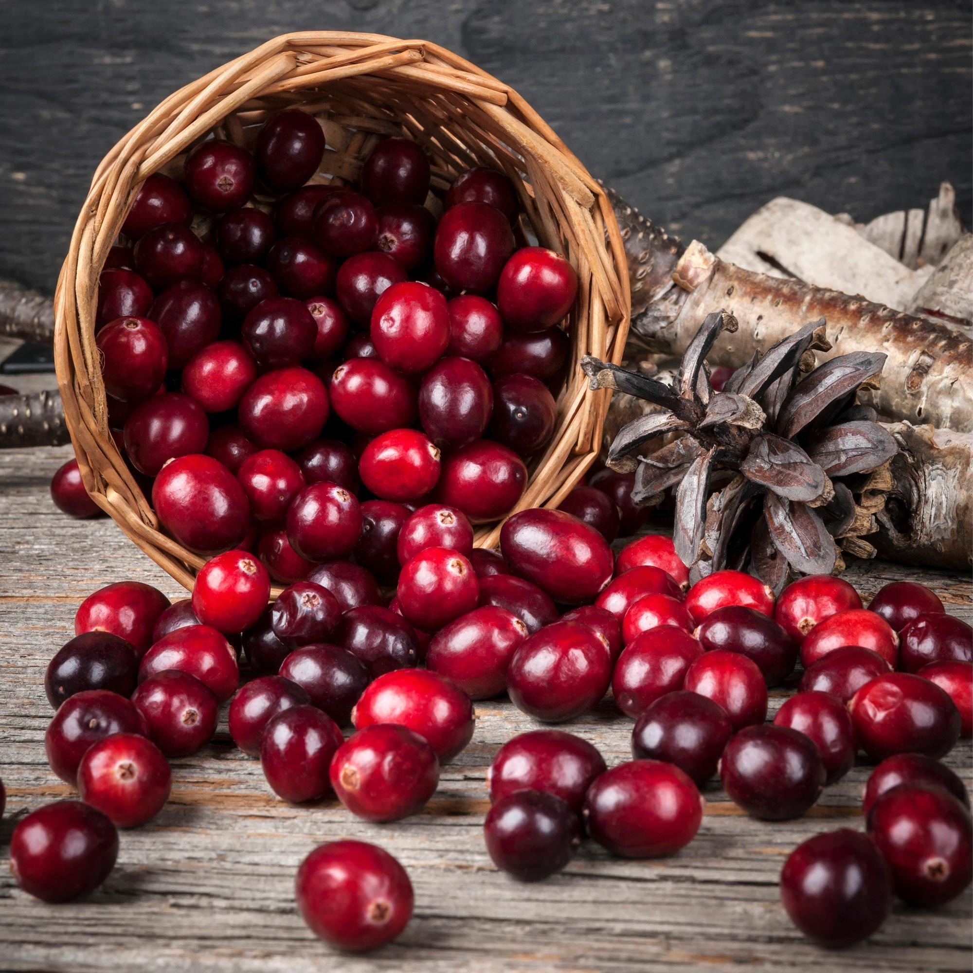 Eating Cranberries Daily Improves Cardiovascular Health