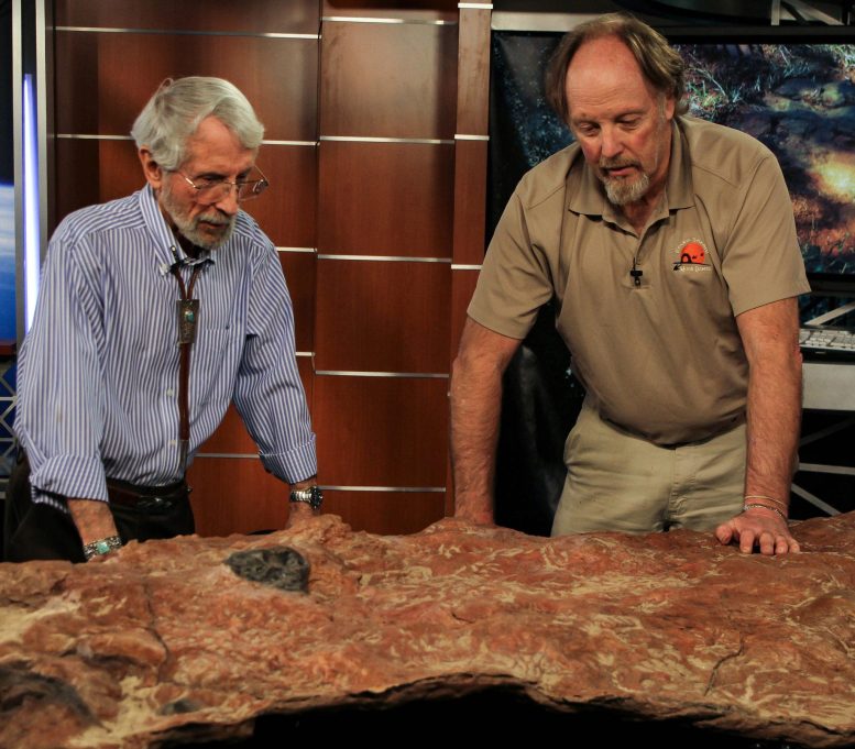Cretaceous Footprints Discovered at Goddard Campus