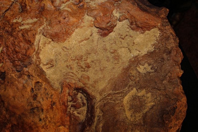 Cretaceous Footprints Found on Goddard Site