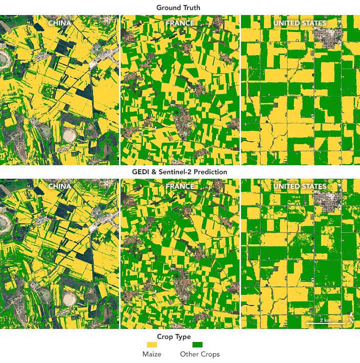 Crop Types From Space