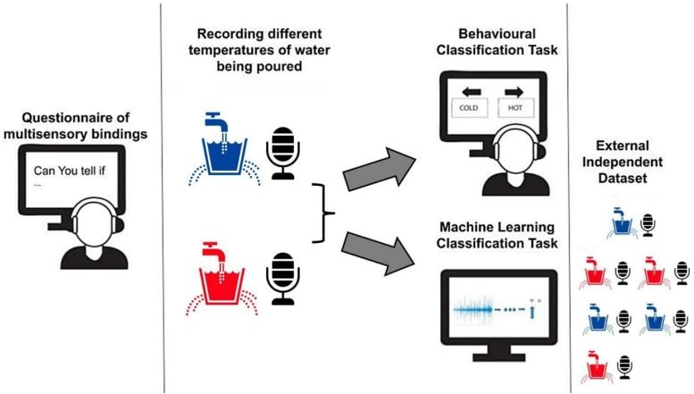 Cross Modal Perception Questionnaire Graphic