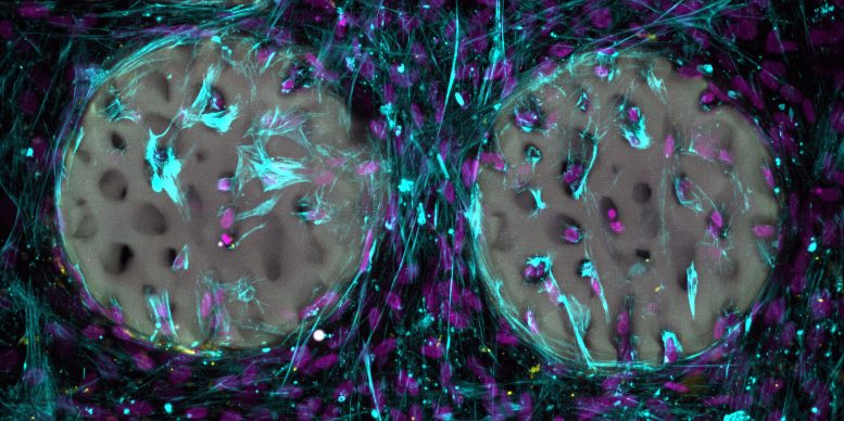 ���������� ���� ����� � ������������ ��������������� ������ � ���������