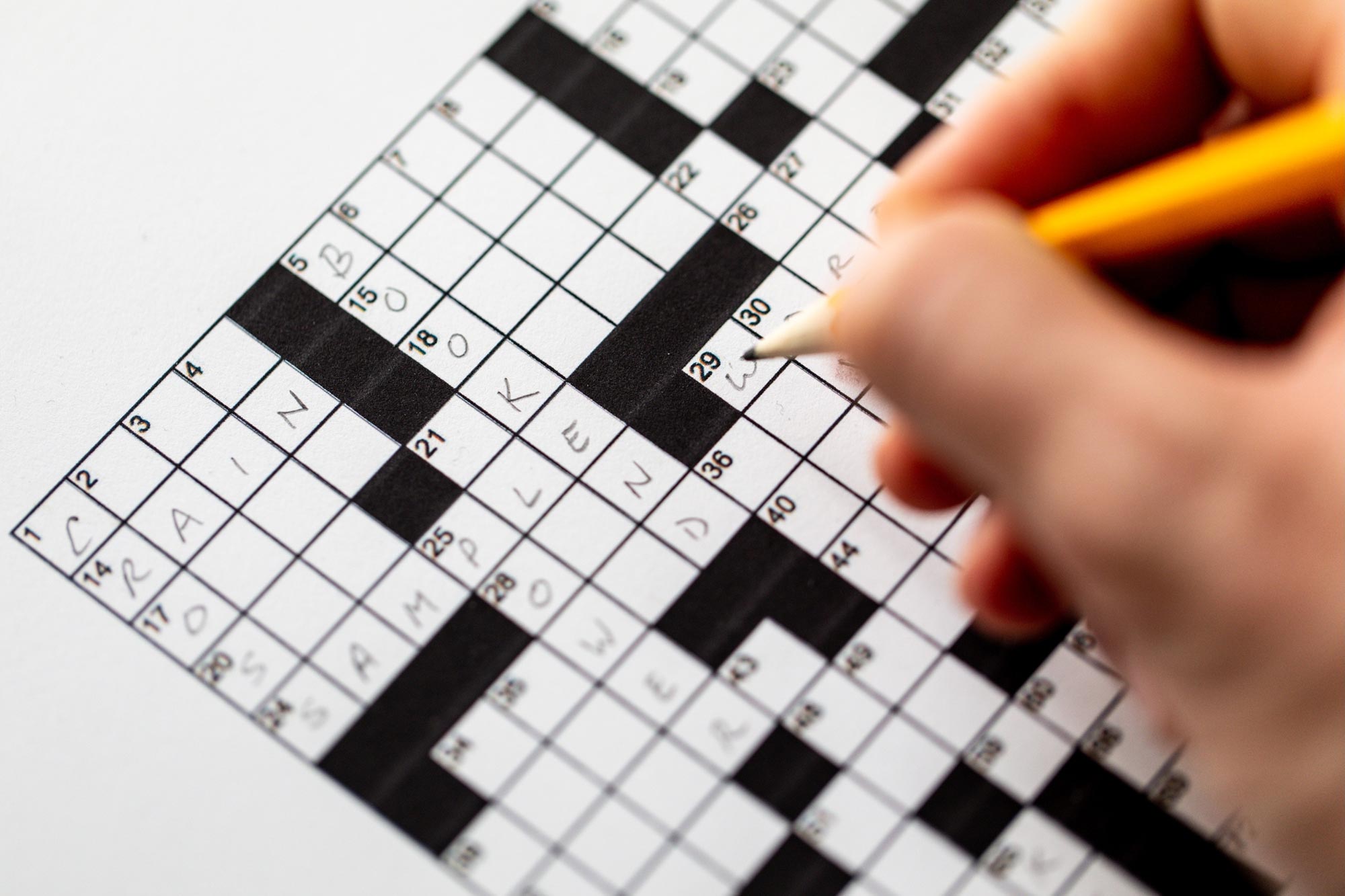 Slowing Memory Loss Crossword Puzzles Beat Cognitive Computer Video Games