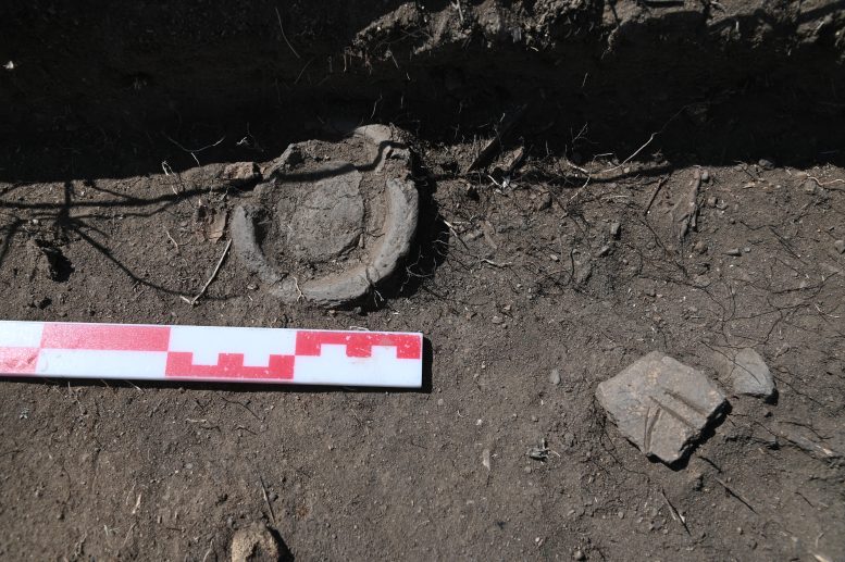 Crucible In Situ