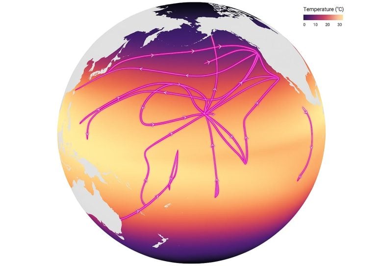 Cruise Tracks Overlaying Temperature