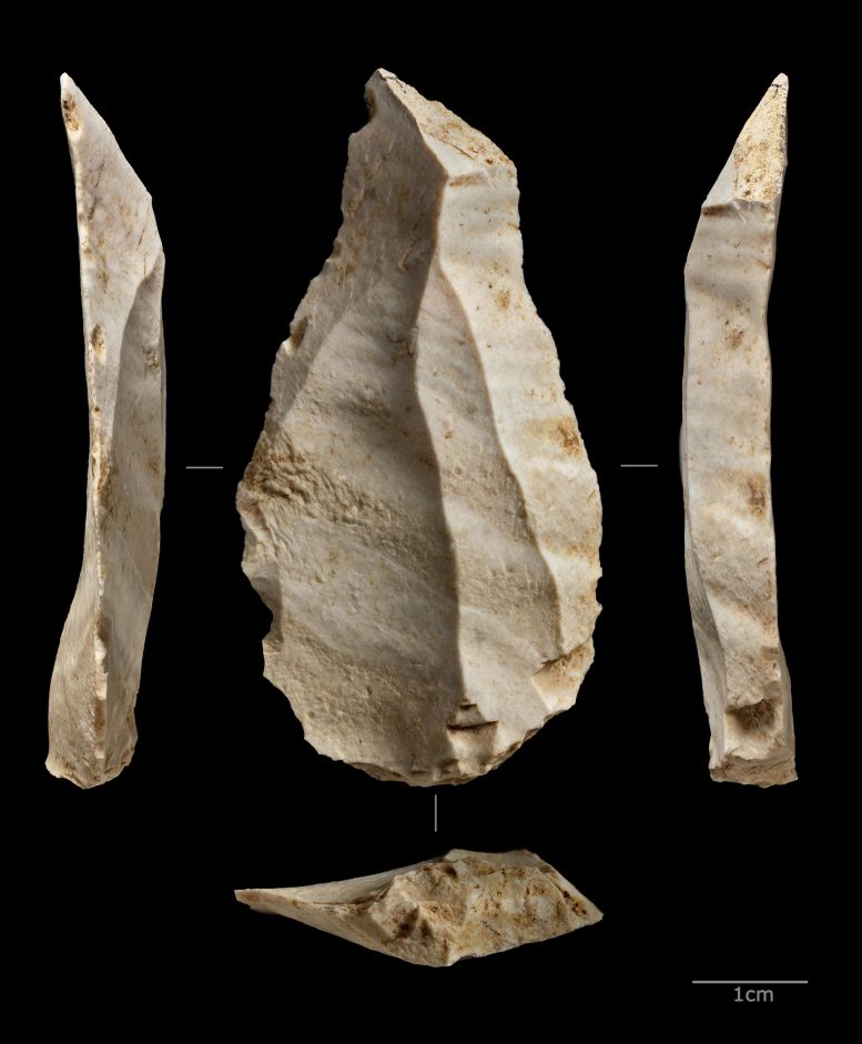 Crustacean Fragments