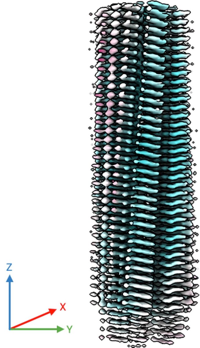 Cryo EM Map of a Fibril
