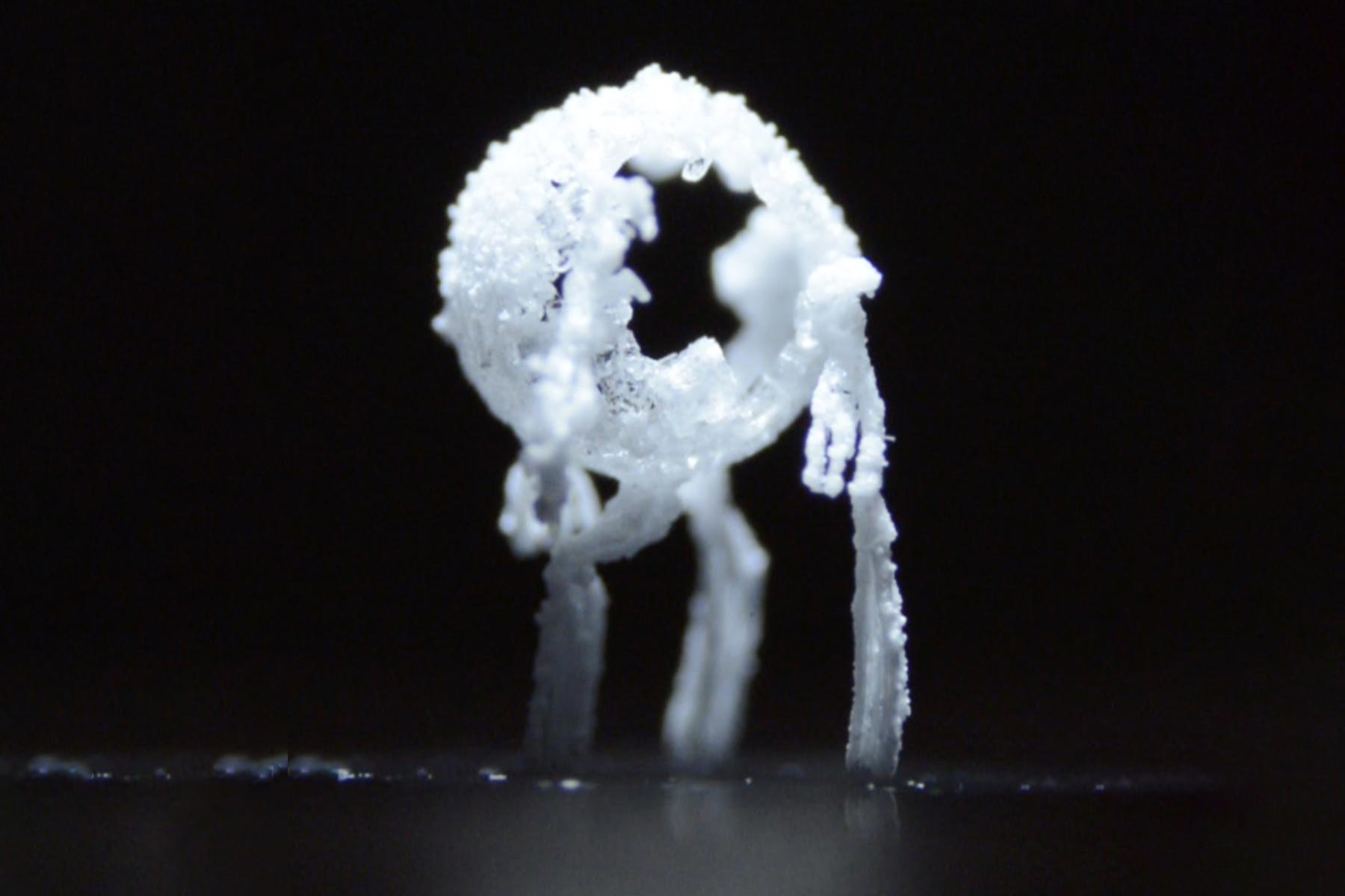 Crystal Critters: Get Salt Out of Water by Making It Grow "Legs" and Self-Eject - SciTechDaily