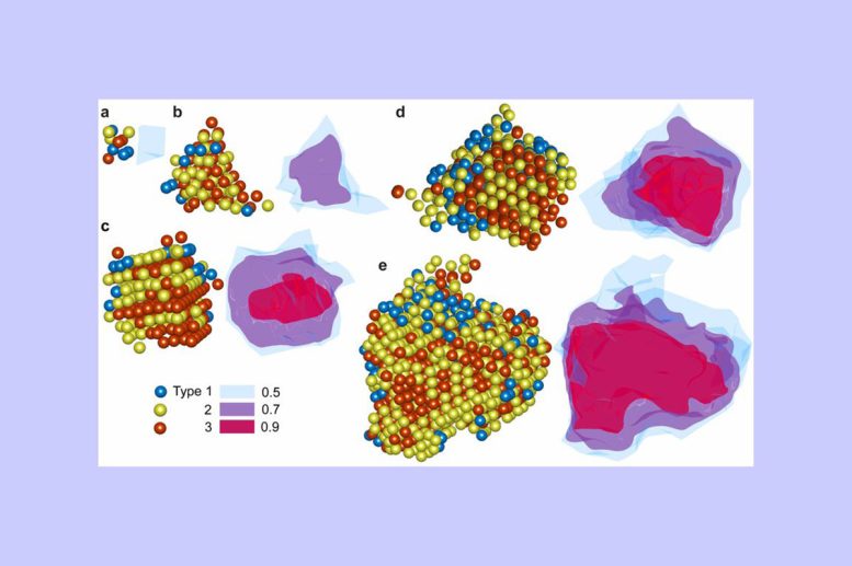 Crystal Nuclei With Atomic Order Maps