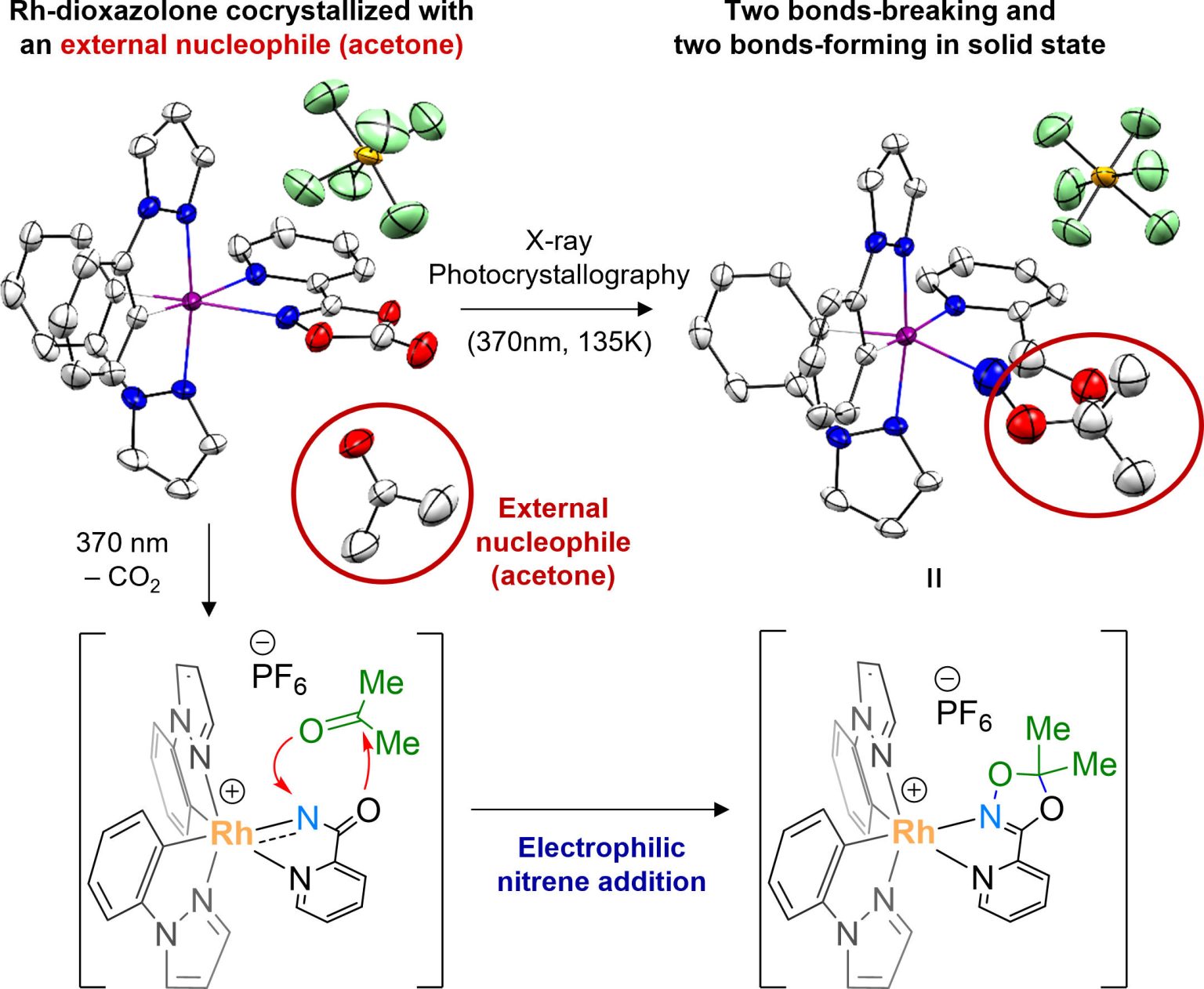 Nitrenoid Complex Catalytic Mysteries Unveiled: First-Ever Observation of a “Difficult To ...